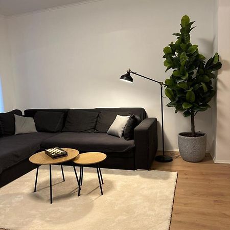 Ferienwohnung Haus Paraschiv Aue  Eksteriør bilde