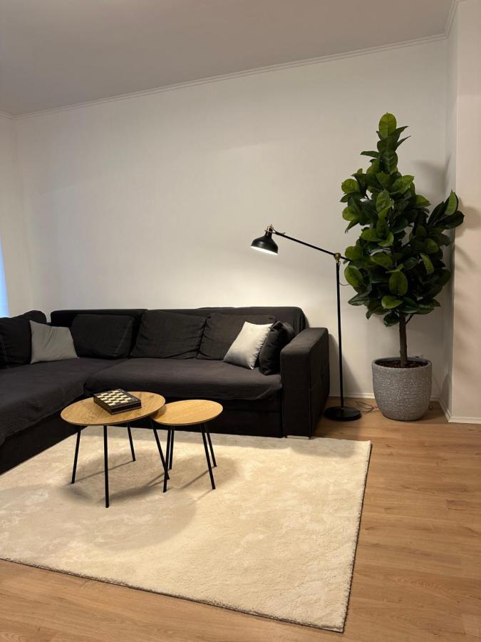 Ferienwohnung Haus Paraschiv Aue  Eksteriør bilde
